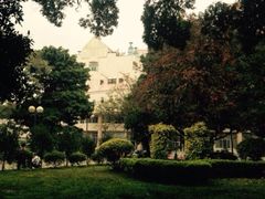 -中山大学学者灵芝(园南路店)