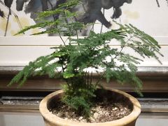 -福来齐·鲁菜海鲜·渔家菜(朝阳街分店)