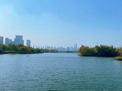-洋湖国家湿地公园