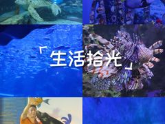 -太平洋海底世界