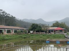 -将军陂美食山庄·瓦缸炭烧鸡