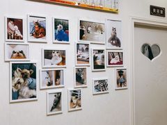 -瑞派康怡24h宠物医院·犬猫医疗中心·微创绝育(瑞景分院)