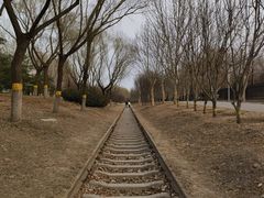 -永定河休闲森林公园