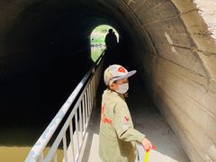 -白水寺森林公园