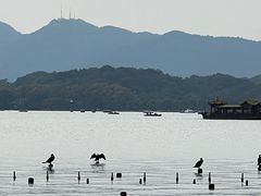 -南宋胡记(杭州灵隐寺店)