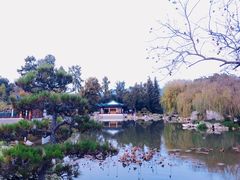 -汉庭顿图书馆