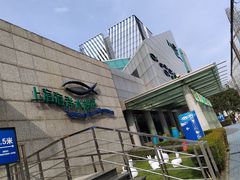 -上海海洋水族馆