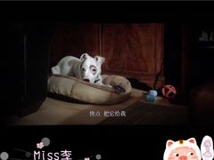 -万达影城(IMAX激光铁西万达广场店)