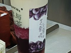 -雾与山茶(大禹城店)