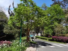 -中国大熊猫保护研究中心雅安碧峰峡基地