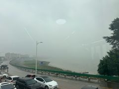 -八仔大富楼·河鲜(西江店)