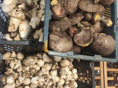 -草墩罗非鱼庄•野生菌•腊排骨(七星街上段店)