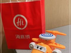 -海底捞火锅(海宁路店)