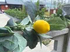 -火车头时光旧物仓