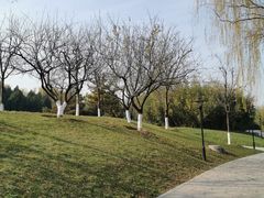 -灞河西岸滨河公园