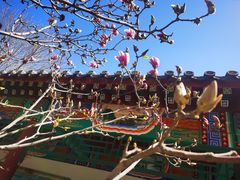 -丰台花园