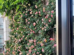 -瓦库茶馆17号(海汇港店)