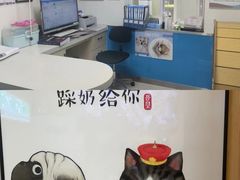 -康爱犬猫诊所·牙专科·骨外科·影像内科(丰宁店)