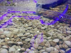 -澜悦港海鲜体验主题餐厅