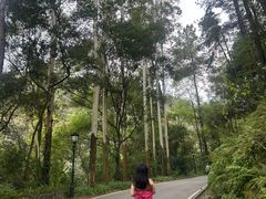 -三门江国家森林公园