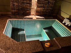 -春晖园度假酒店温泉