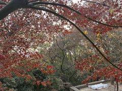 -狼山风景名胜区