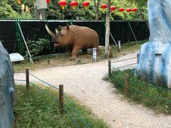 -无锡动物园·太湖欢乐园