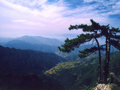 -王顺山国家森林公园
