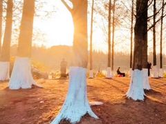 -白鹭湾湿地公园