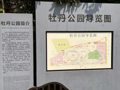 -洛阳市牡丹公园