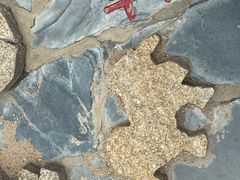 -阿弟特色海鲜餐厅·大排档(平潭店)