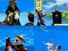 -海合安成都极地海洋公园