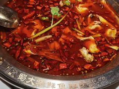 -蛙一刀·麻椒鱼火锅(金仙桥店)