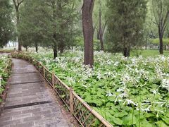 -森林公园(尖草坪区)