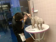 -FAELING PETS美天灵宠物(富力广场店)