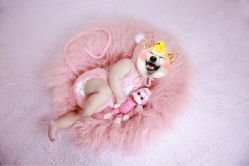 -DeerFriend童趣主题上门拍·到家·外拍摄影机构 (国贸店)