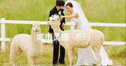 -北遇映画PHOTO GRAPHY STUDIO
