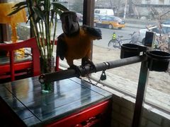 -冰城小镇音乐串吧·聚会餐厅(百子湾店)