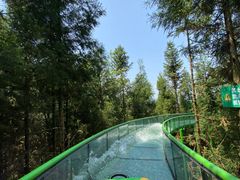 -贵州森林野生动物园