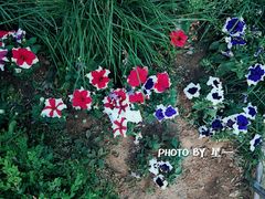 -渔掌门红房子柴火灶(连鞍线店)