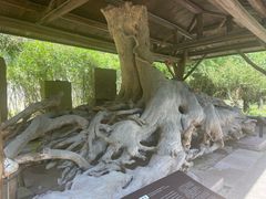 -宁波市保国寺古建筑博物馆