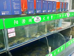 -阳澄湖大闸蟹·琼灵阁牌品牌连锁(吴中总店)