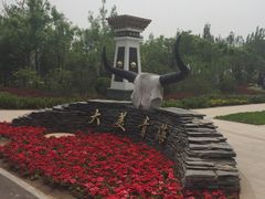 -武清南湖绿博园