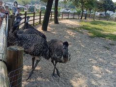-苏州太湖西山岛开心农场
