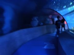 -太平洋海底世界