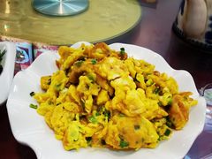 -照金特色农家乐