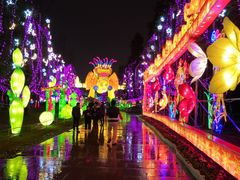 景点-金沙遗址博物馆