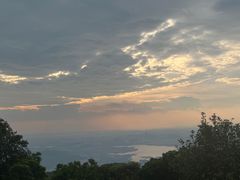 -东莞市大岭山森林公园
