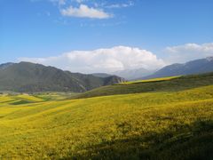 -青海湖国家重点风景名胜区