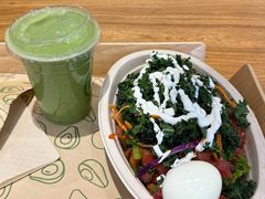 -油梨树 AVOCADO TREE(亮马桥店)